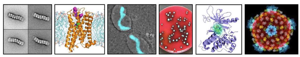 Images of scientific work related to MMB