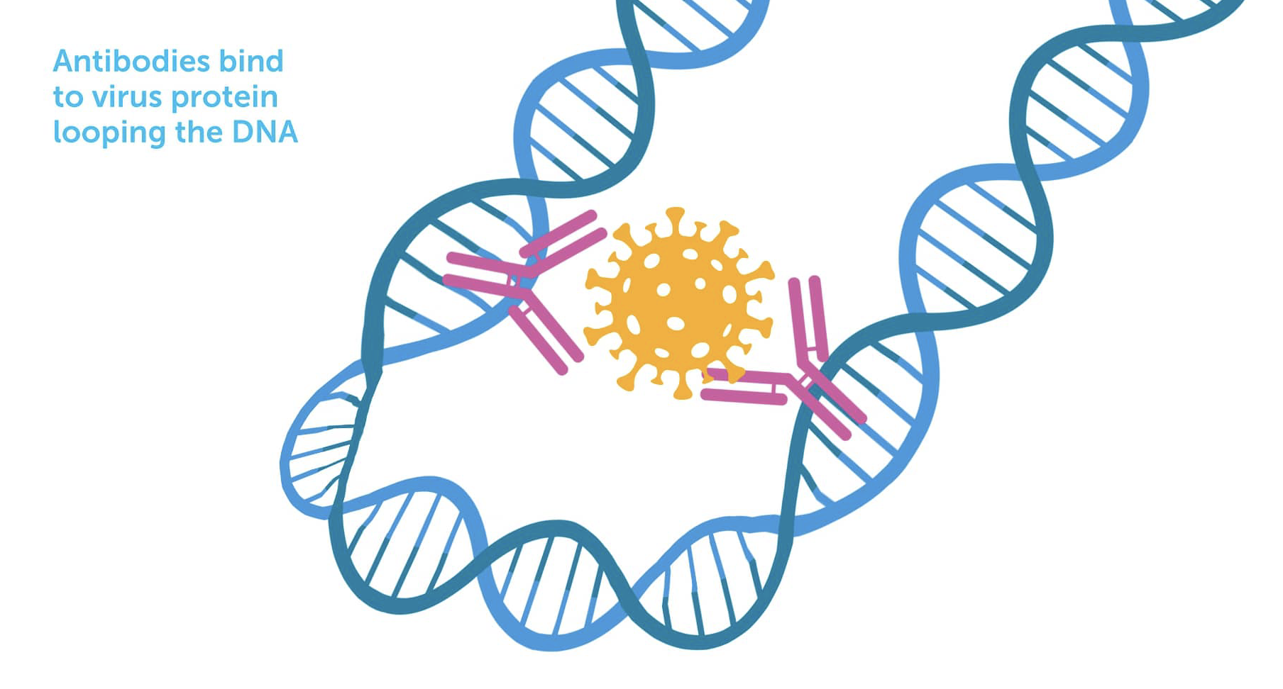 biological chemistry and molecular pharmacology harvard university